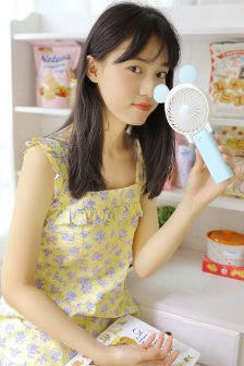 花蝴蝶与野玫瑰
